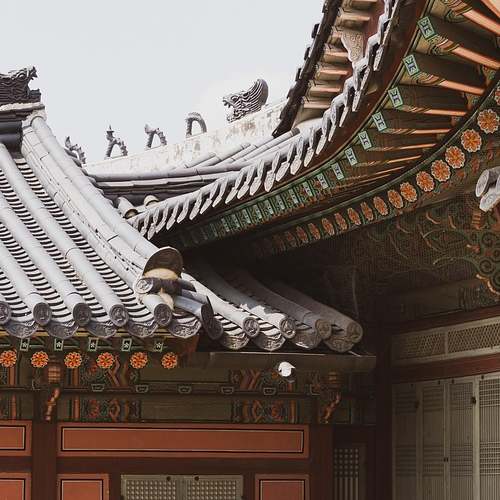 2025년 연말정산에서 보험료 세액공제를 통해 12만원 절세하는 스마트한 방법