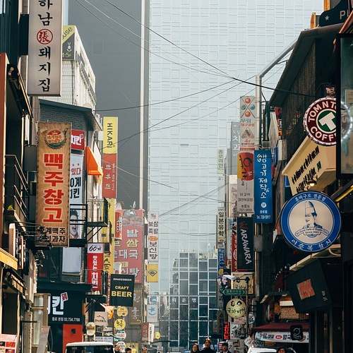교사 건강보험 연말정산의 환급 비밀 – 보수월액 이해하기