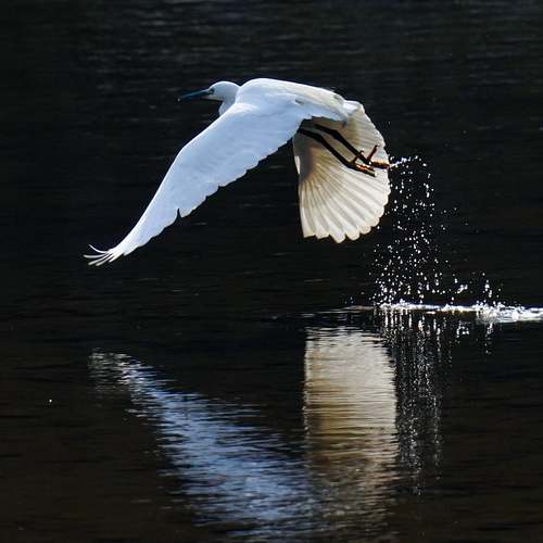 아이폰 카톡 테마를 무료로 즐기는 방법: 누구나 따라 할 수 있는 꿀팁과 앱 추천 아이폰 카톡 테마를 무료로 즐기는 방법: 누구나 따라 할 수 있는 꿀팁과 앱 추천