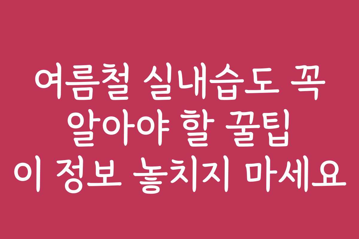 여름철 실내습도 꼭 알아야 할 꿀팁 이 정보 놓치지 마세요