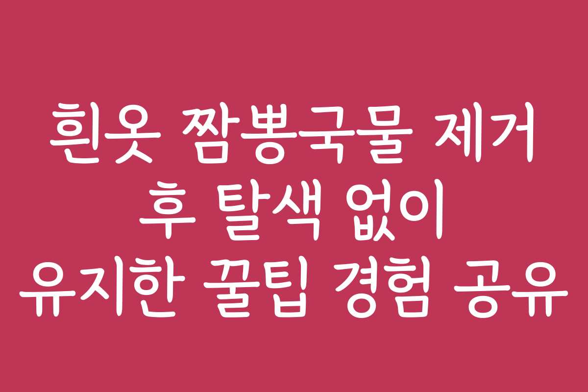흰옷 짬뽕국물 제거 후 탈색 없이 유지한 꿀팁 경험 공유