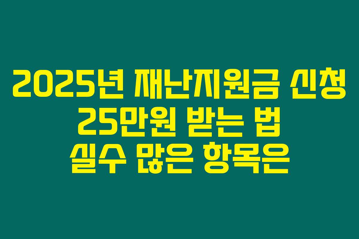 2025년 재난지원금 신청 25만원 받는 법 실수 많은 항목은