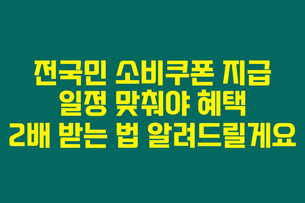 전국민 소비쿠폰 지급 일정 맞춰야 혜택 2배 받는 법 알려드릴게요