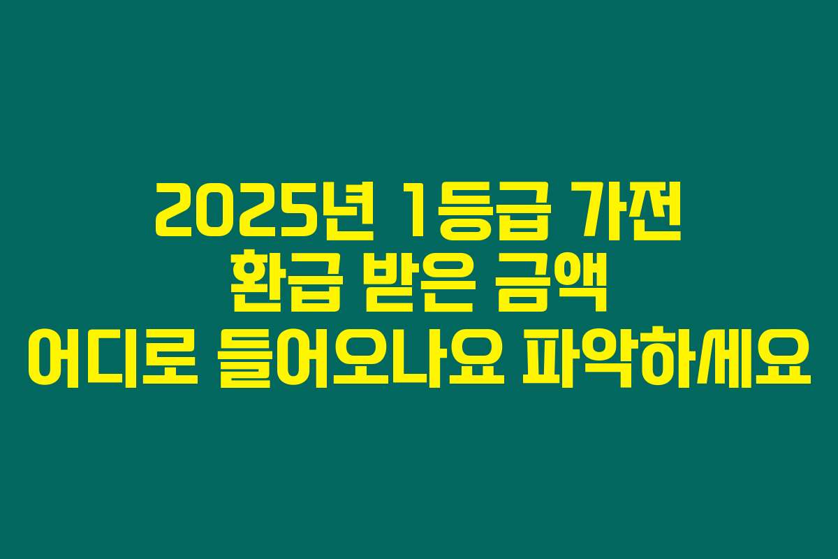 2025년 1등급 가전 환급 받은 금액 어디로 들어오나요 파악하세요