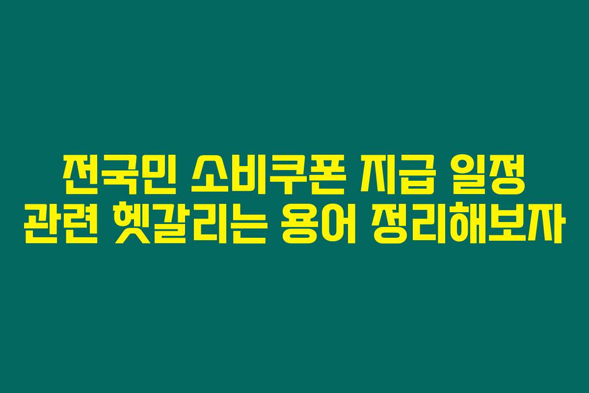전국민 소비쿠폰 지급 일정 관련 헷갈리는 용어 정리해보자