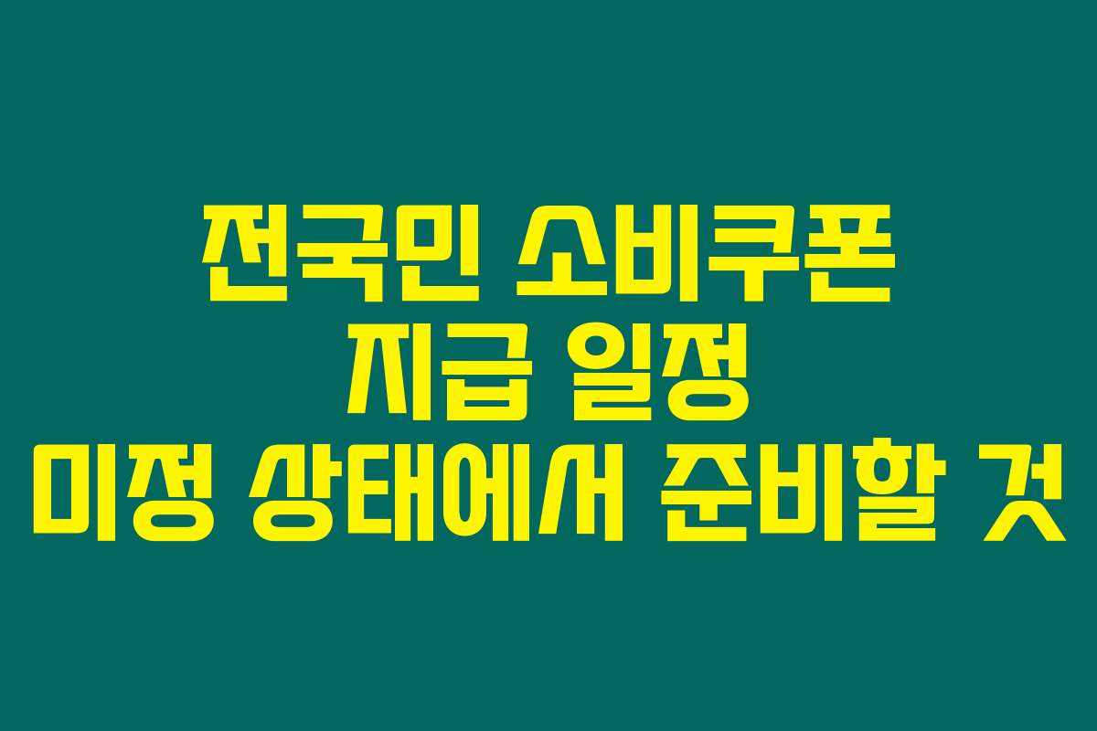 전국민 소비쿠폰 지급 일정 미정 상태에서 준비할 것