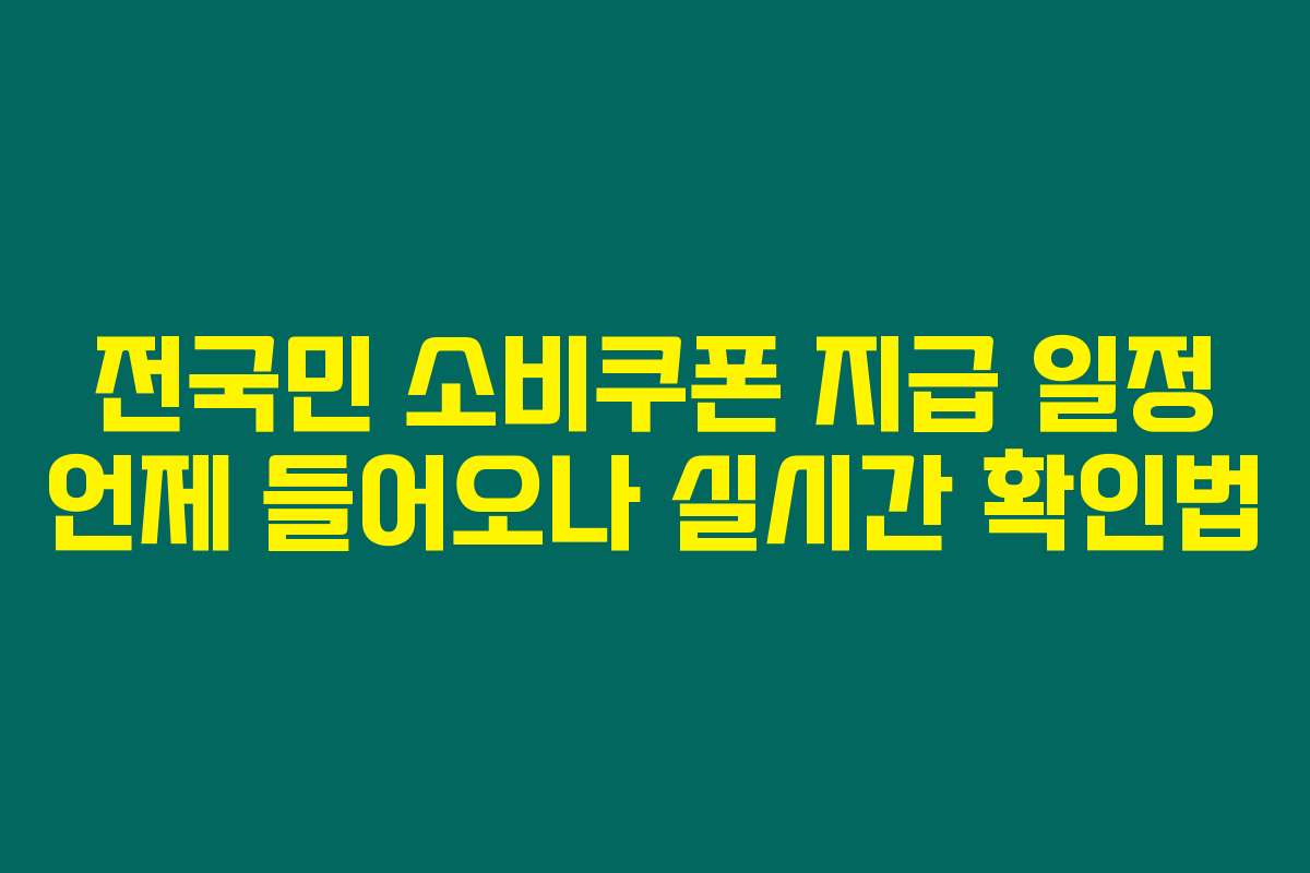 전국민 소비쿠폰 지급 일정 언제 들어오나 실시간 확인법