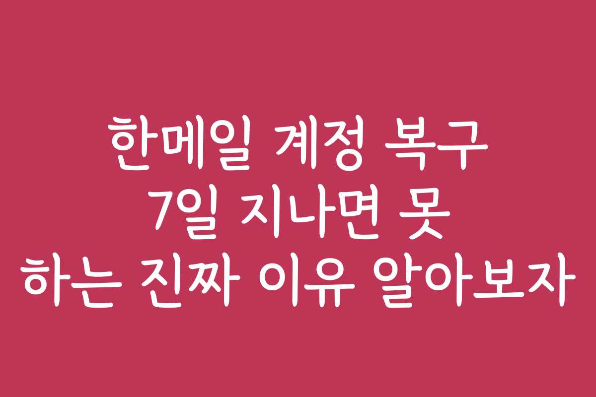 한메일 계정 복구 7일 지나면 못 하는 진짜 이유 알아보자