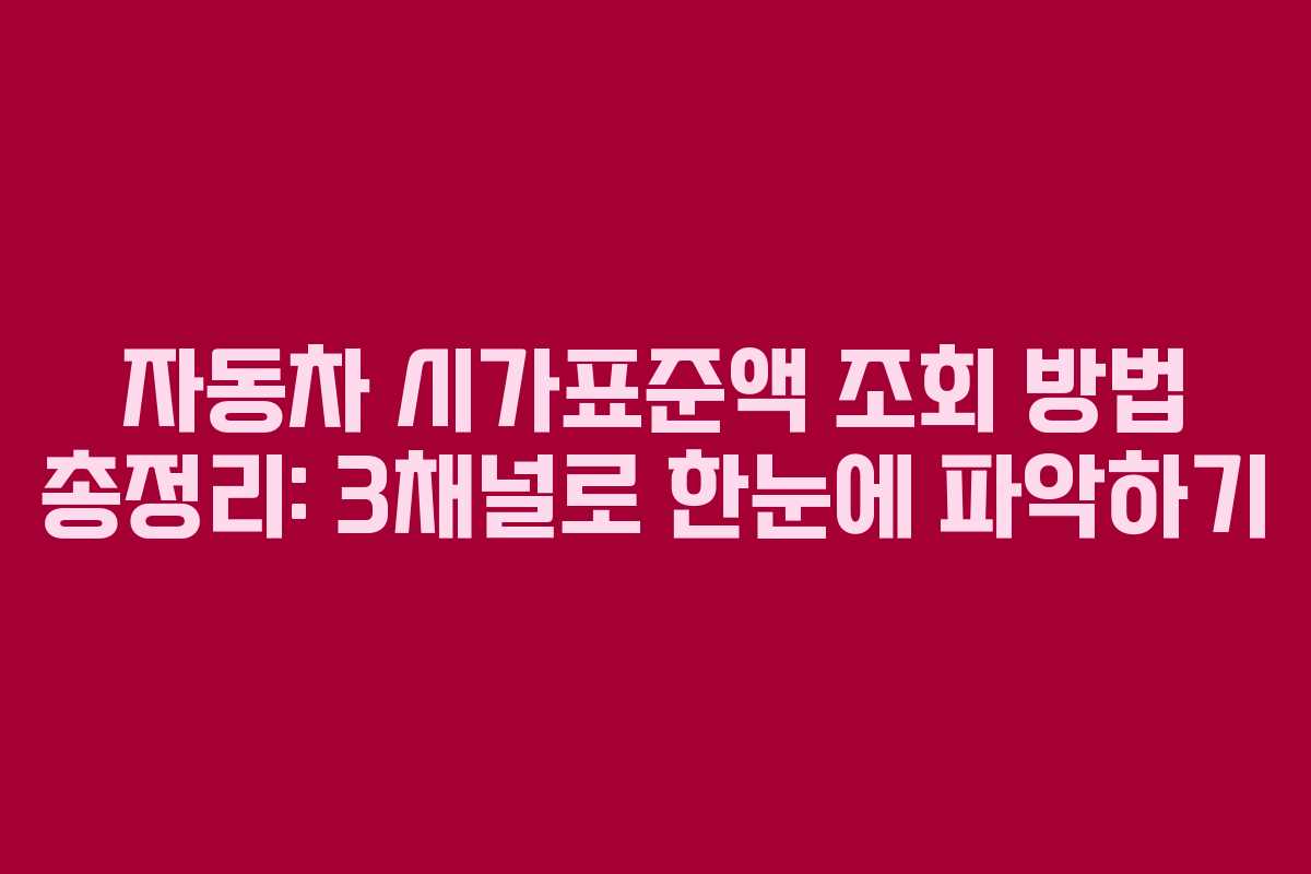 자동차 시가표준액 조회 방법 총정리: 3채널로 한눈에 파악하기