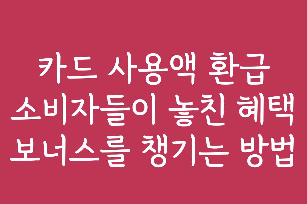 카드 사용액 환급 소비자들이 놓친 혜택 보너스를 챙기는 방법