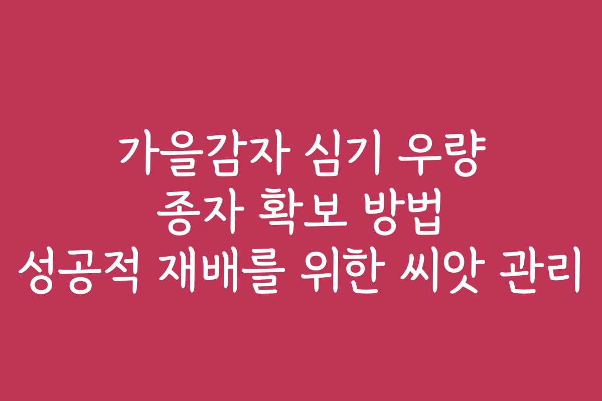 가을감자 심기 우량 종자 확보 방법 성공적 재배를 위한 씨앗 관리