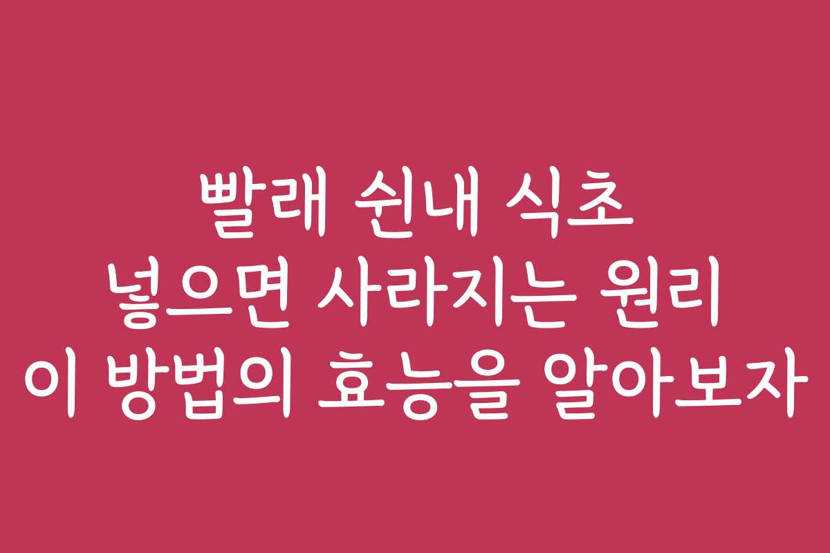 빨래 쉰내 식초 넣으면 사라지는 원리 이 방법의 효능을 알아보자