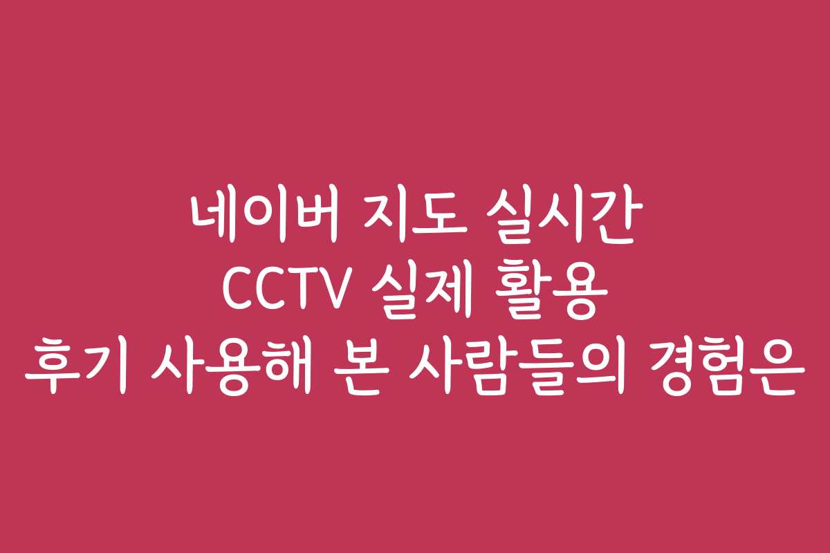 네이버 지도 실시간 CCTV 실제 활용 후기 사용해 본 사람들의 경험은