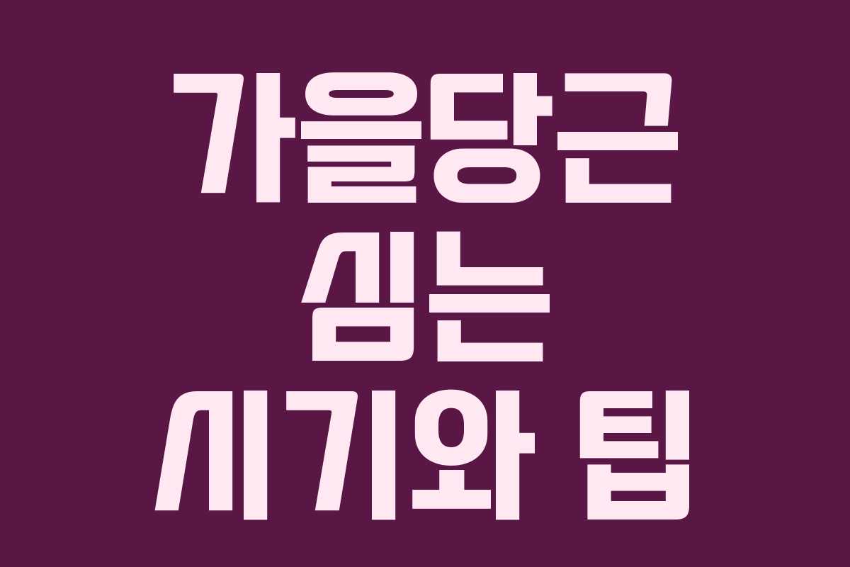 가을당근 심는 시기와 팁
