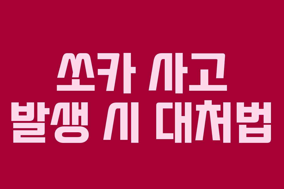 쏘카 사고 발생 시 대처법