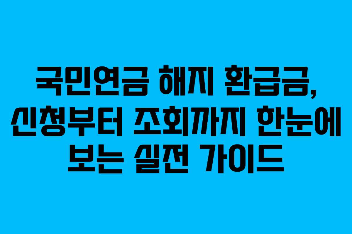 국민연금 해지 환급금, 신청부터 조회까지 한눈에 보는 실전 가이드