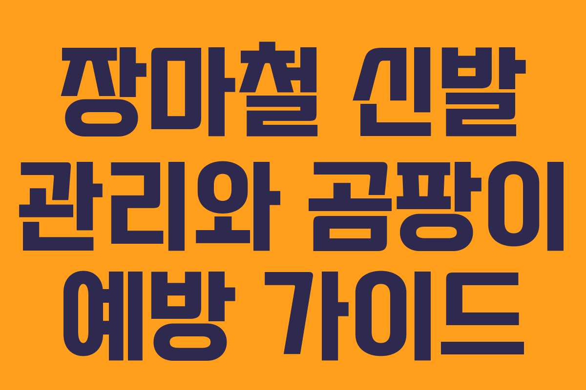 장마철 신발 관리와 곰팡이 예방 가이드