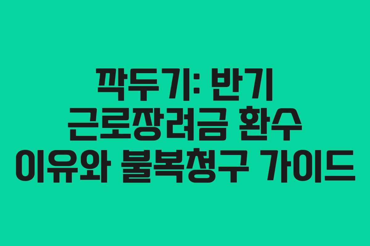 깍두기: 반기 근로장려금 환수 이유와 불복청구 가이드