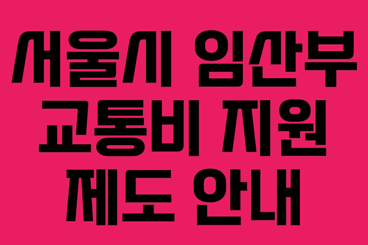 서울시 임산부 교통비 지원 제도 안내