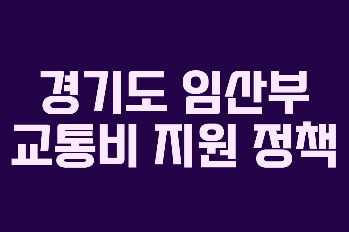 경기도 임산부 교통비 지원 정책