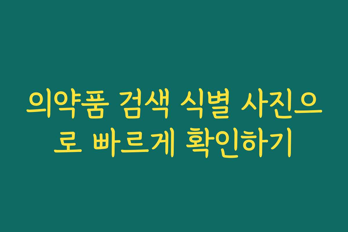 의약품 검색 식별 사진으로 빠르게 확인하기