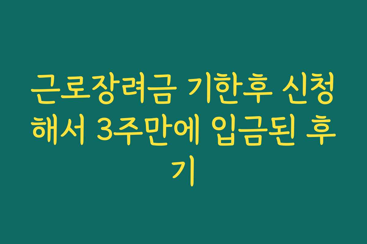 근로장려금 기한후 신청해서 3주만에 입금된 후기 근로장려금 기한후 신청해서 3주만에 입금된 후기