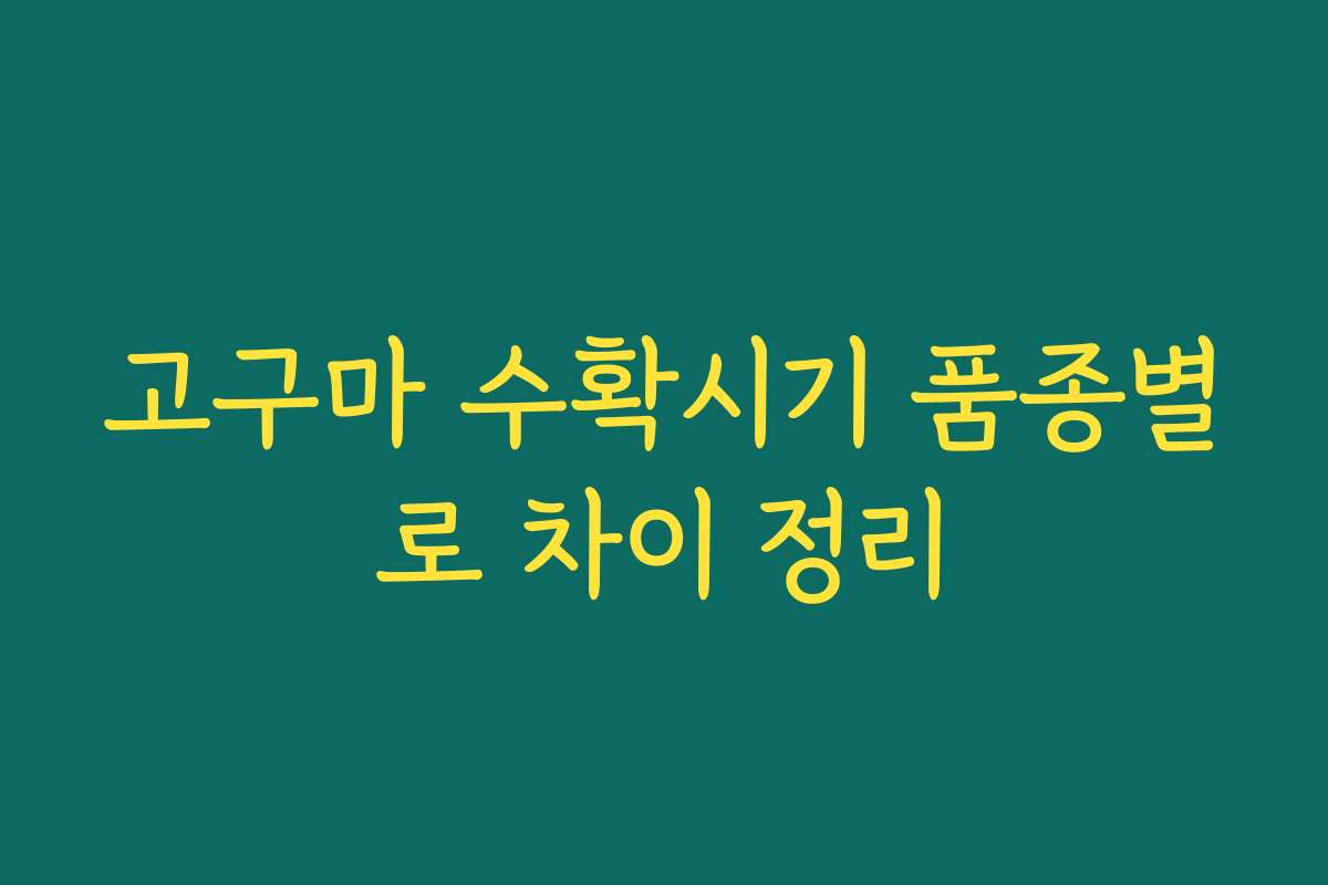 고구마 수확시기 품종별로 차이 정리