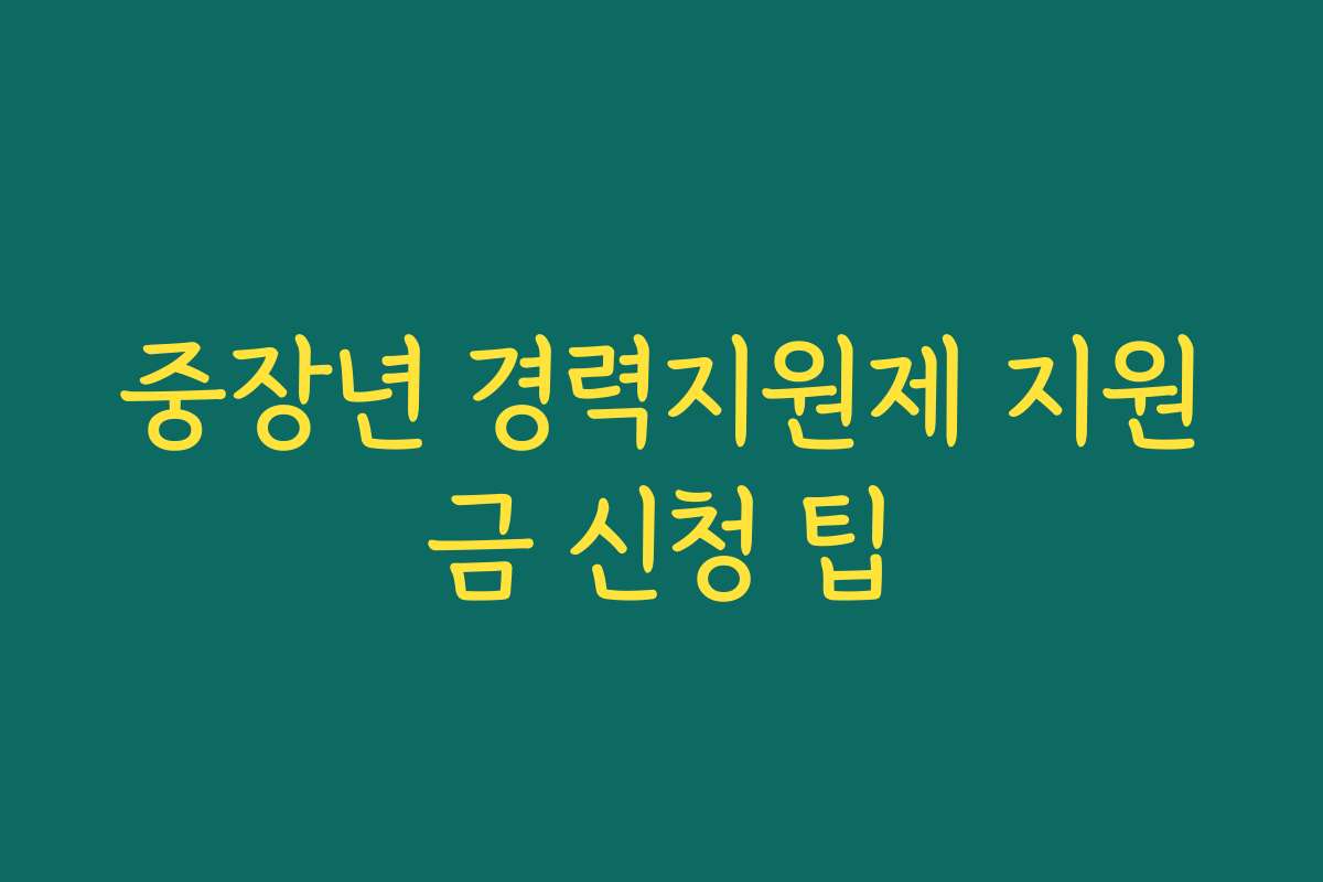 중장년 경력지원제 지원금 신청 팁