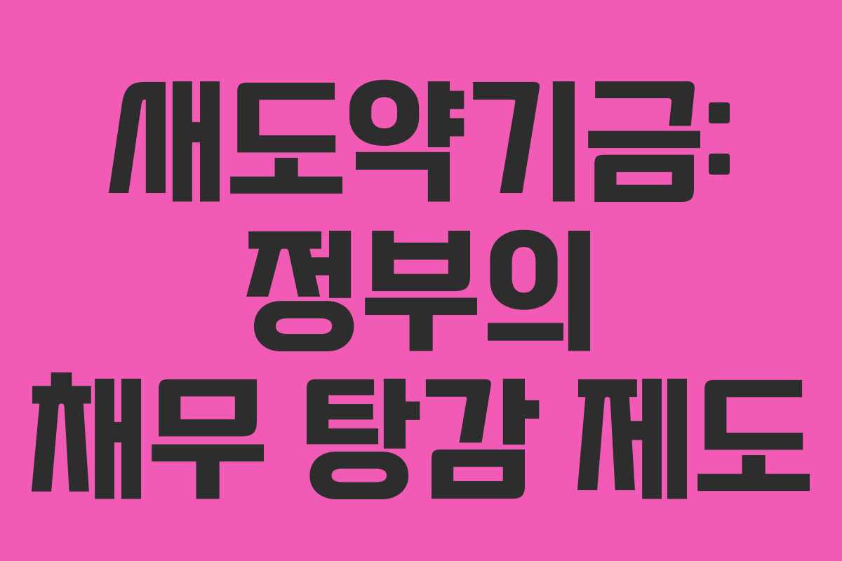 새도약기금: 정부의 채무 탕감 제도
