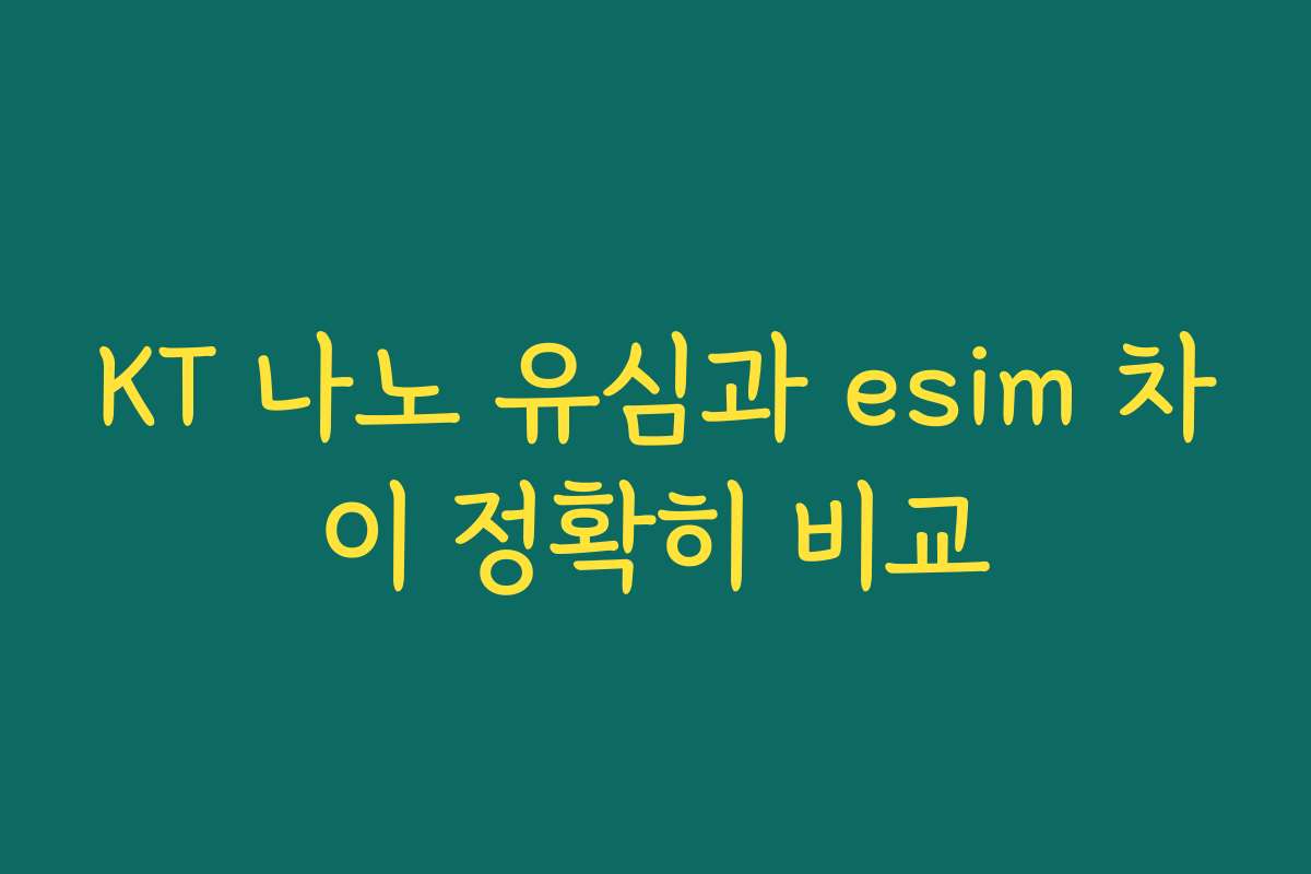 KT 나노 유심과 esim 차이 정확히 비교