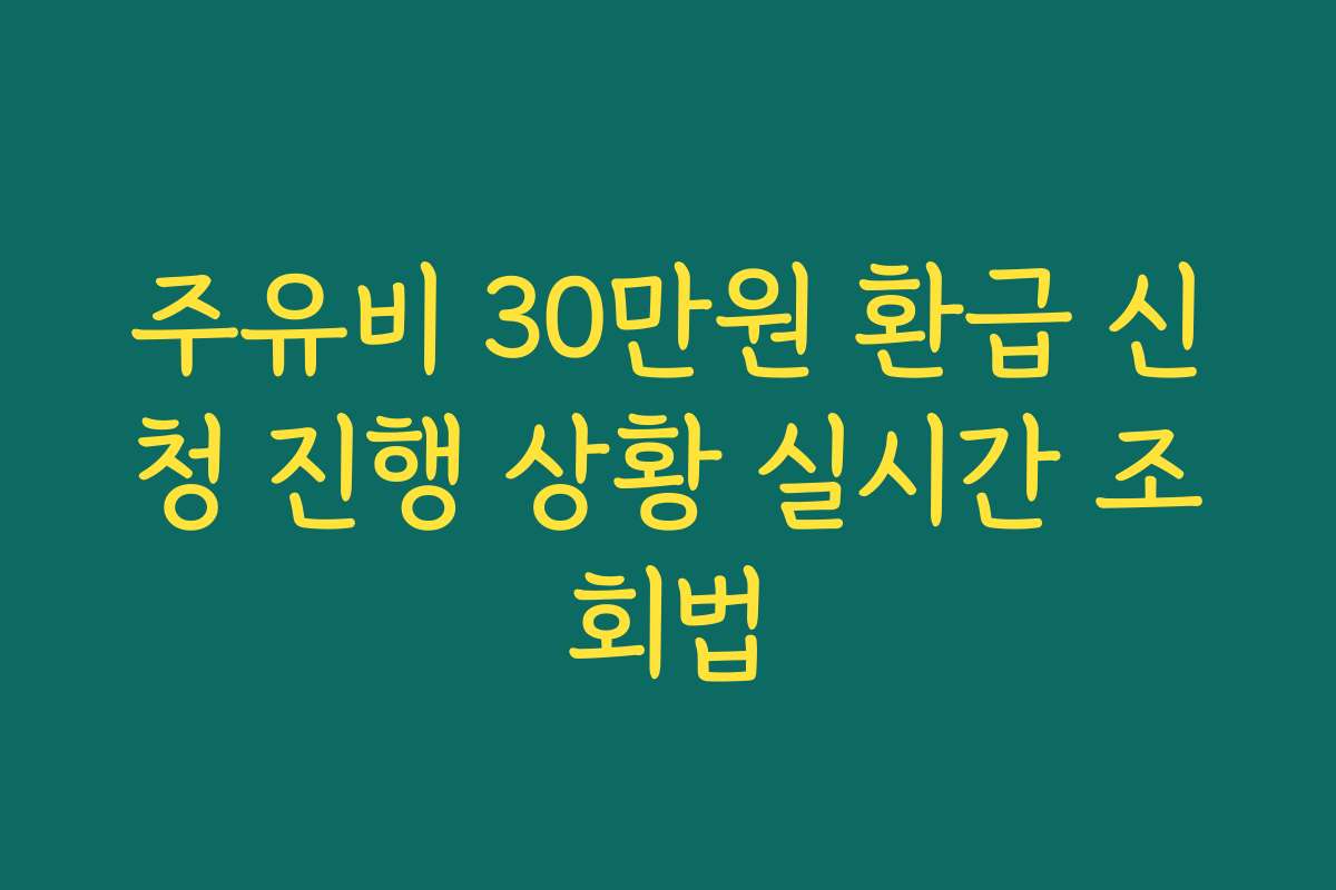주유비 30만원 환급 신청 진행 상황 실시간 조회법