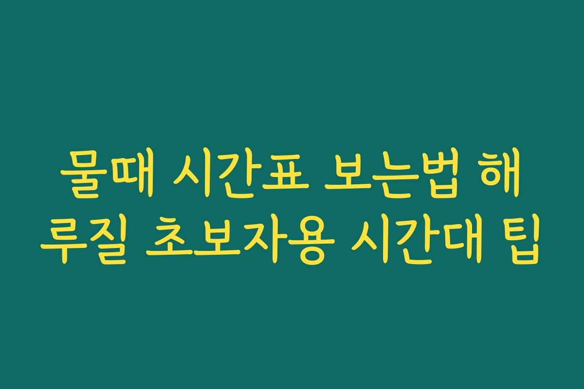 물때 시간표 보는법 해루질 초보자용 시간대 팁