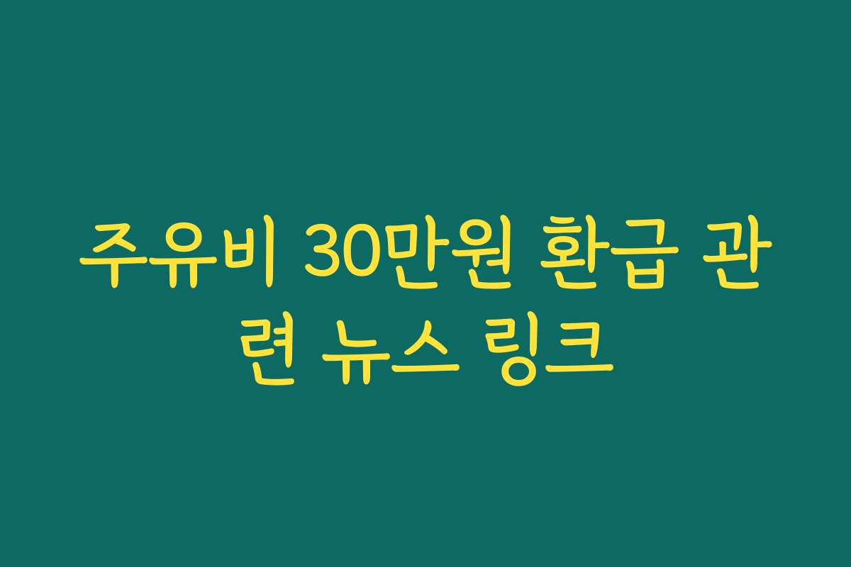 주유비 30만원 환급 관련 뉴스 링크