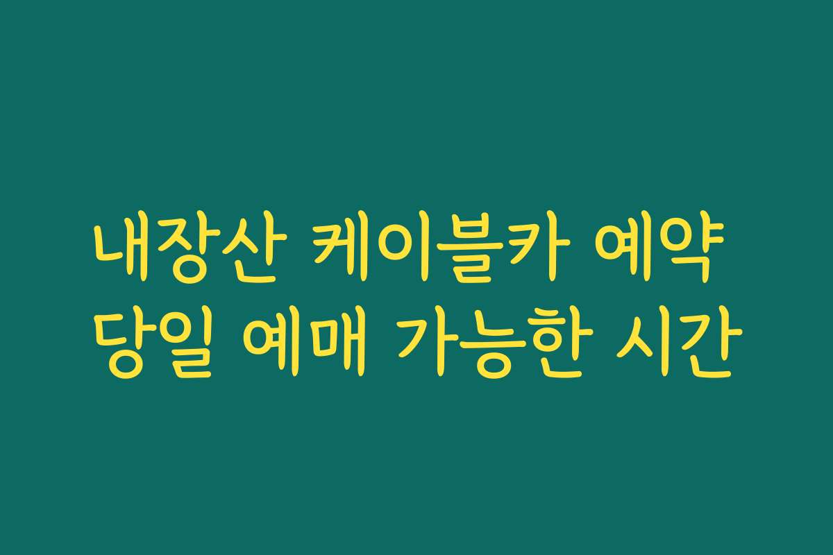 내장산 케이블카 예약 당일 예매 가능한 시간