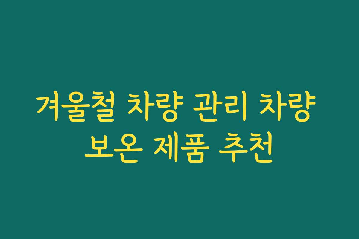 겨울철 차량 관리 차량 보온 제품 추천