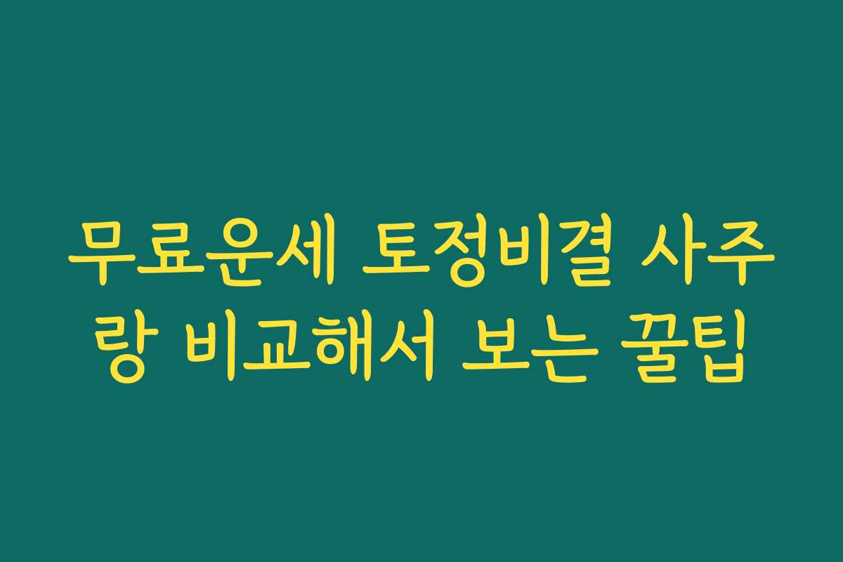 무료운세 토정비결 사주랑 비교해서 보는 꿀팁