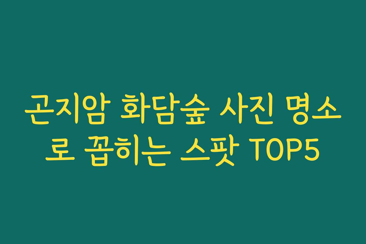 곤지암 화담숲 사진 명소로 꼽히는 스팟 TOP5