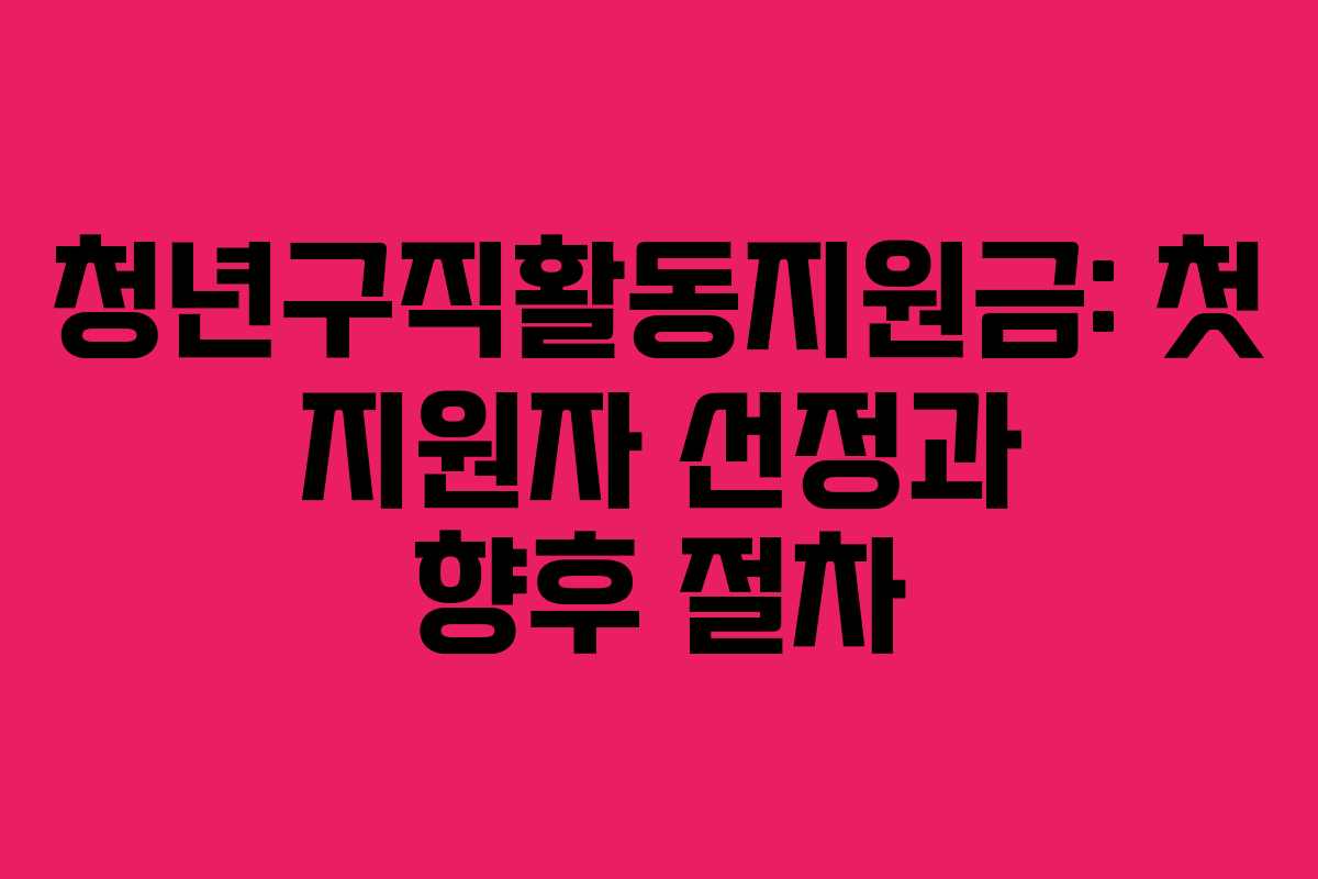청년구직활동지원금: 첫 지원자 선정과 향후 절차