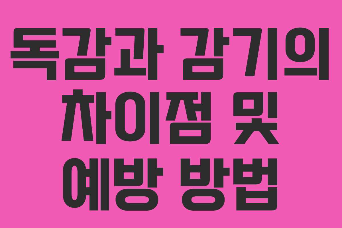 독감과 감기의 차이점 및 예방 방법