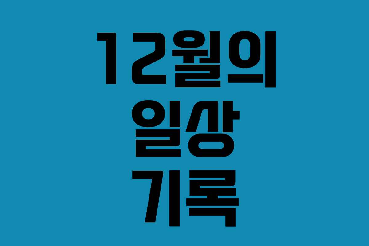 12월의 일상 기록