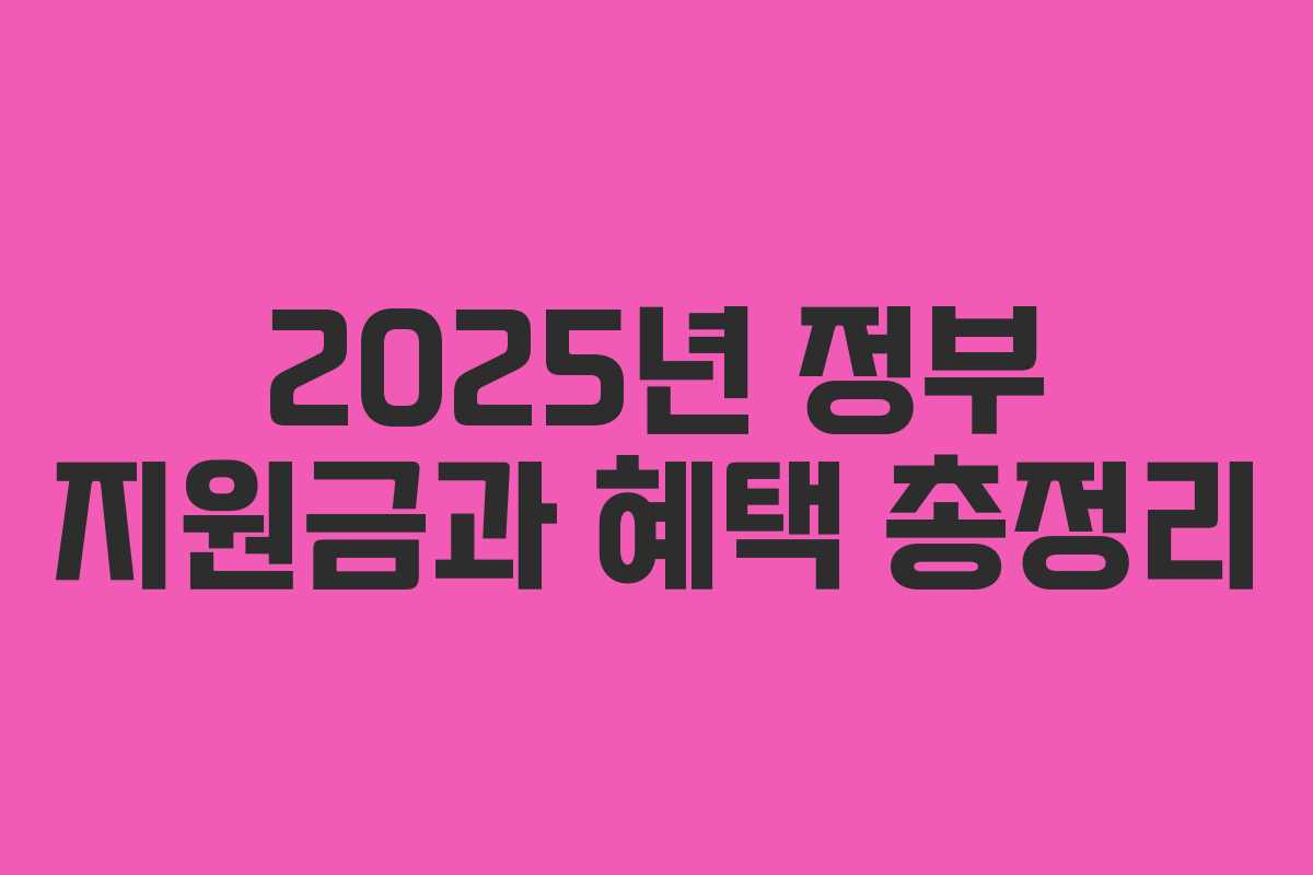 2025년 정부 지원금과 혜택 총정리