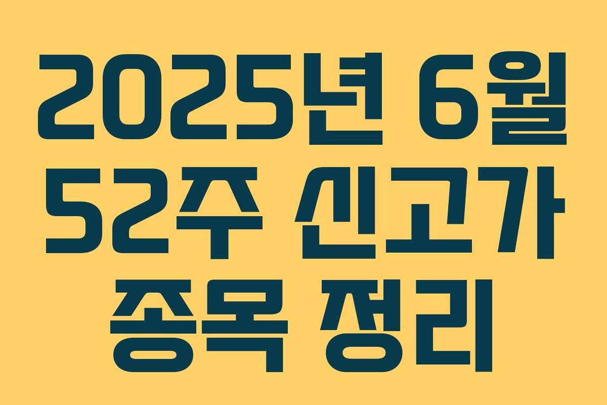 2025년 6월 52주 신고가 종목 정리