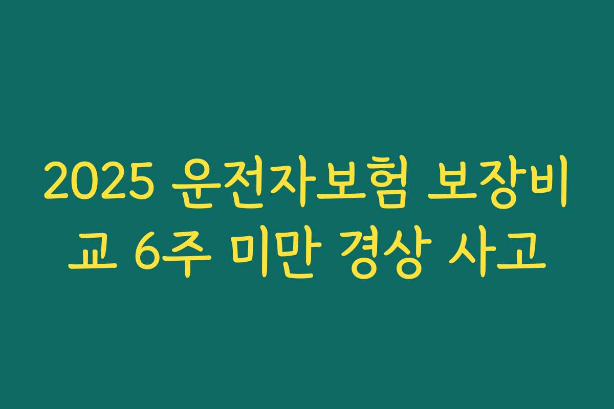 2025 운전자보험 보장비교 6주 미만 경상 사고