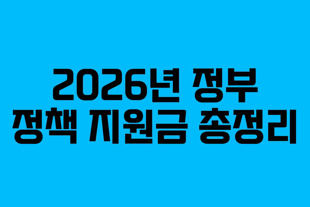 2026년 정부 정책 지원금 총정리