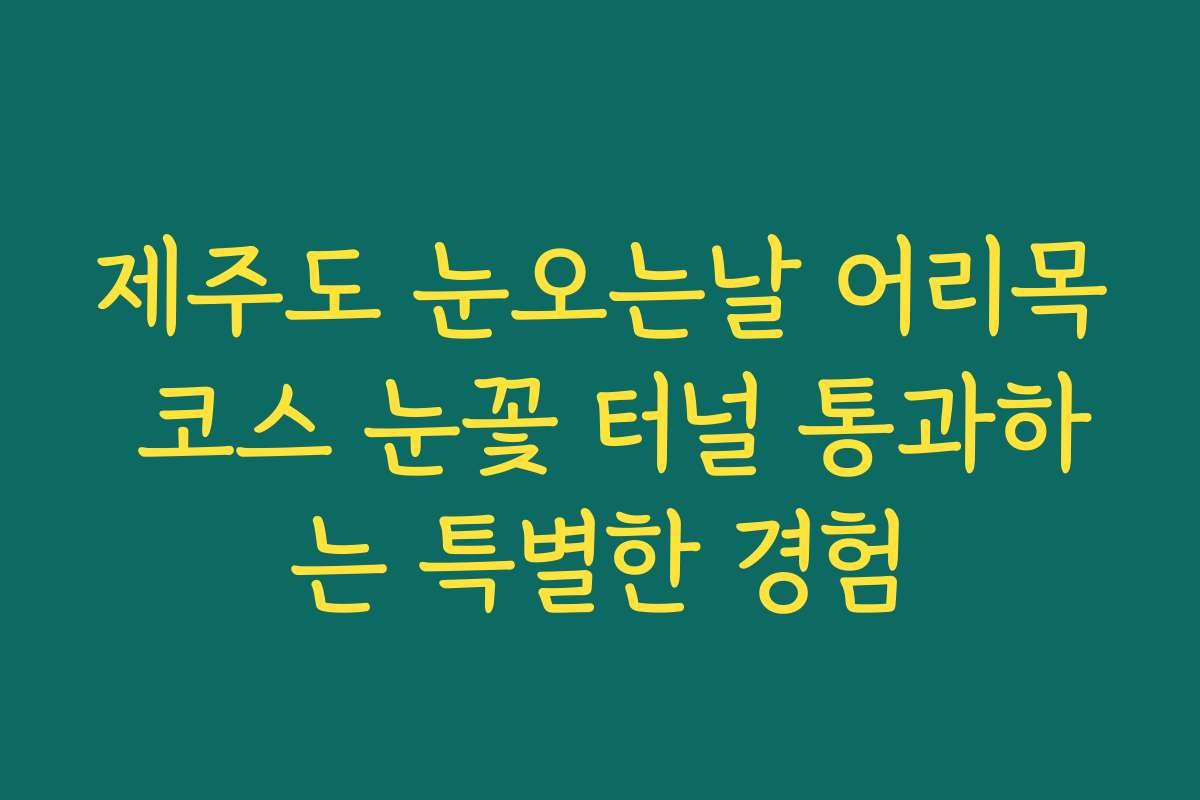 제주도 눈오는날 어리목 코스 눈꽃 터널 통과하는 특별한 경험