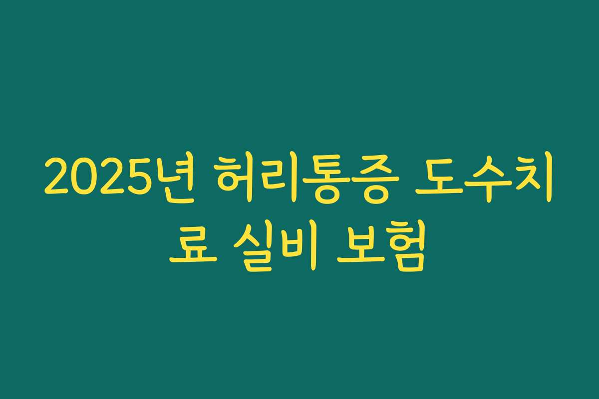 2025년 허리통증 도수치료 실비 보험