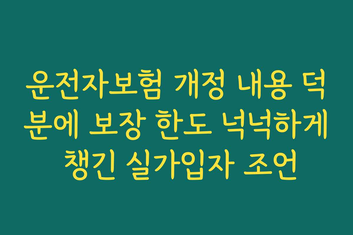 운전자보험 개정 내용 덕분에 보장 한도 넉넉하게 챙긴 실가입자 조언
