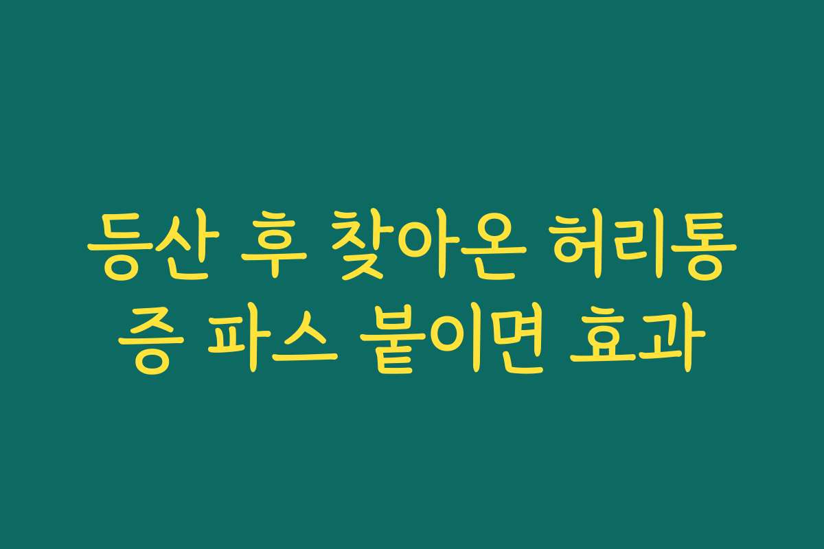 등산 후 찾아온 허리통증 파스 붙이면 효과