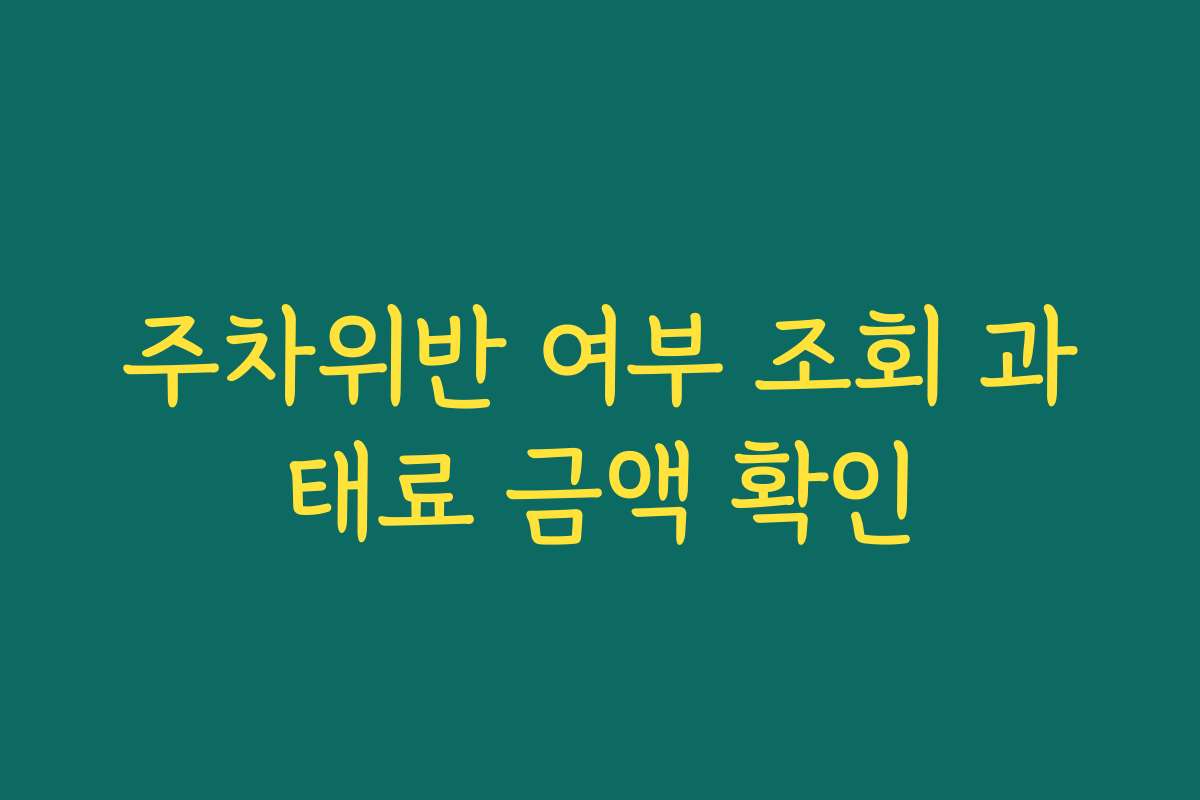 주차위반 여부 조회 과태료 금액 확인