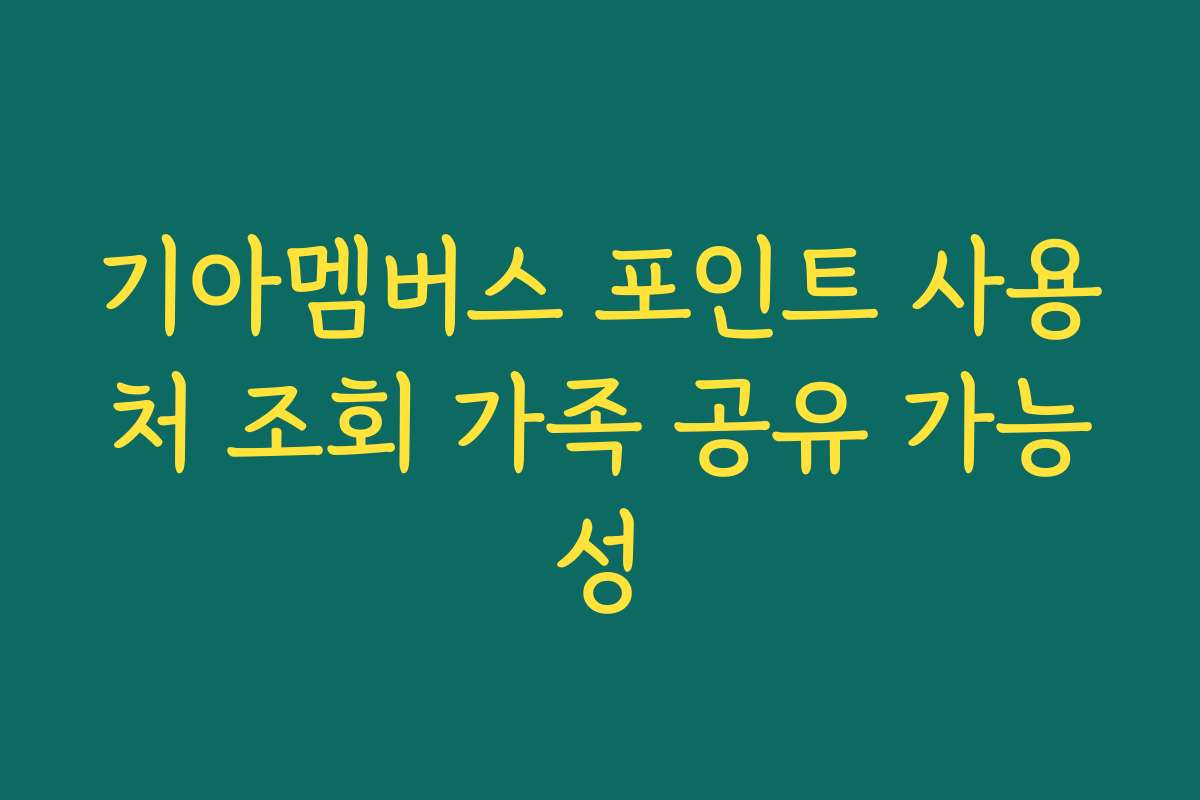 기아멤버스 포인트 사용처 조회 가족 공유 가능성